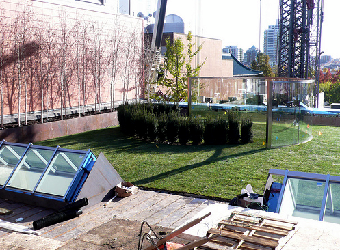 Urban rooftop garden with green lawn, shrubs, skylights, and city skyline view