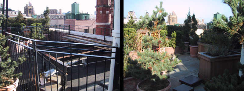 Urban rooftop garden with potted plants and city skyline backdrop in Brooklyn.