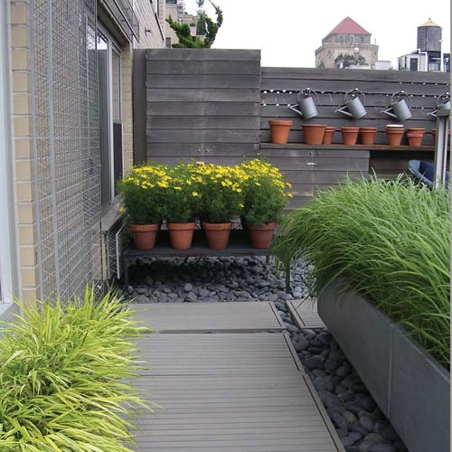 Rooftop deck with yellow flowering plants in terracotta pots, ornamental grasses, and dark wood fence.
