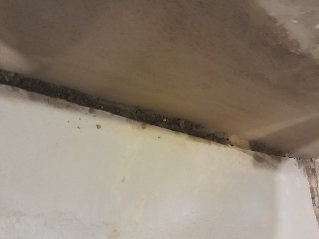 Ceiling joint showing discoloration, mold growth, and water damage on concrete basement surface.